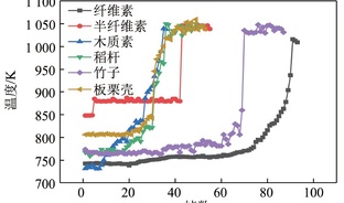 纤维素、半纤维素和木质素对生物质燃烧行为影响研究
