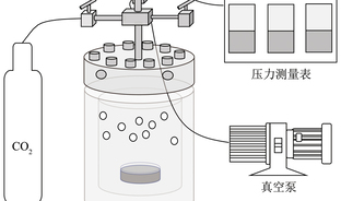 电石渣直接湿法碳酸化固定CO2的反应特性